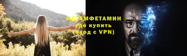 сатива Горнозаводск