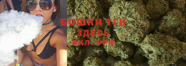 индика Бугульма