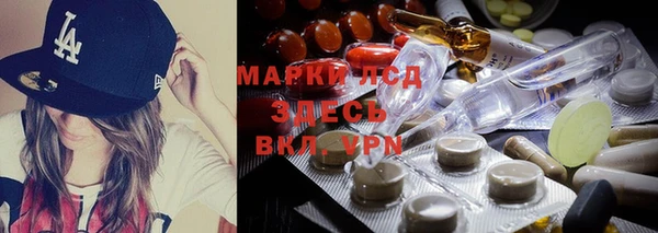 шишки Богородск