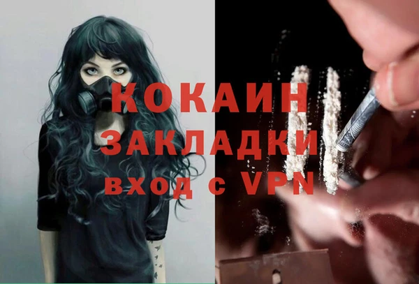 шишки Богородск