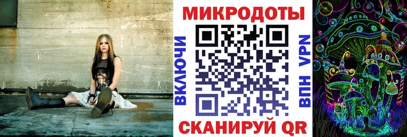 Галлюциногенные грибы Psilocybine cubensis  Бобров 